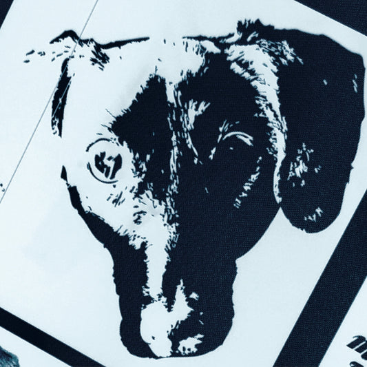 Michael Leonhart Orchestra - Denial b/w Anger (Picture Sleeve 7")