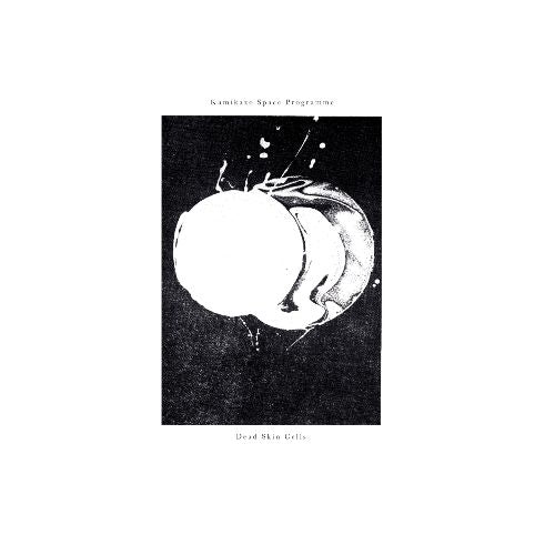 Kamikaze Space Programme - Dead Skin Cells