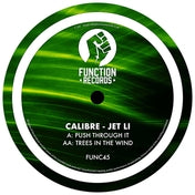 Push Through It (Function vinyl)