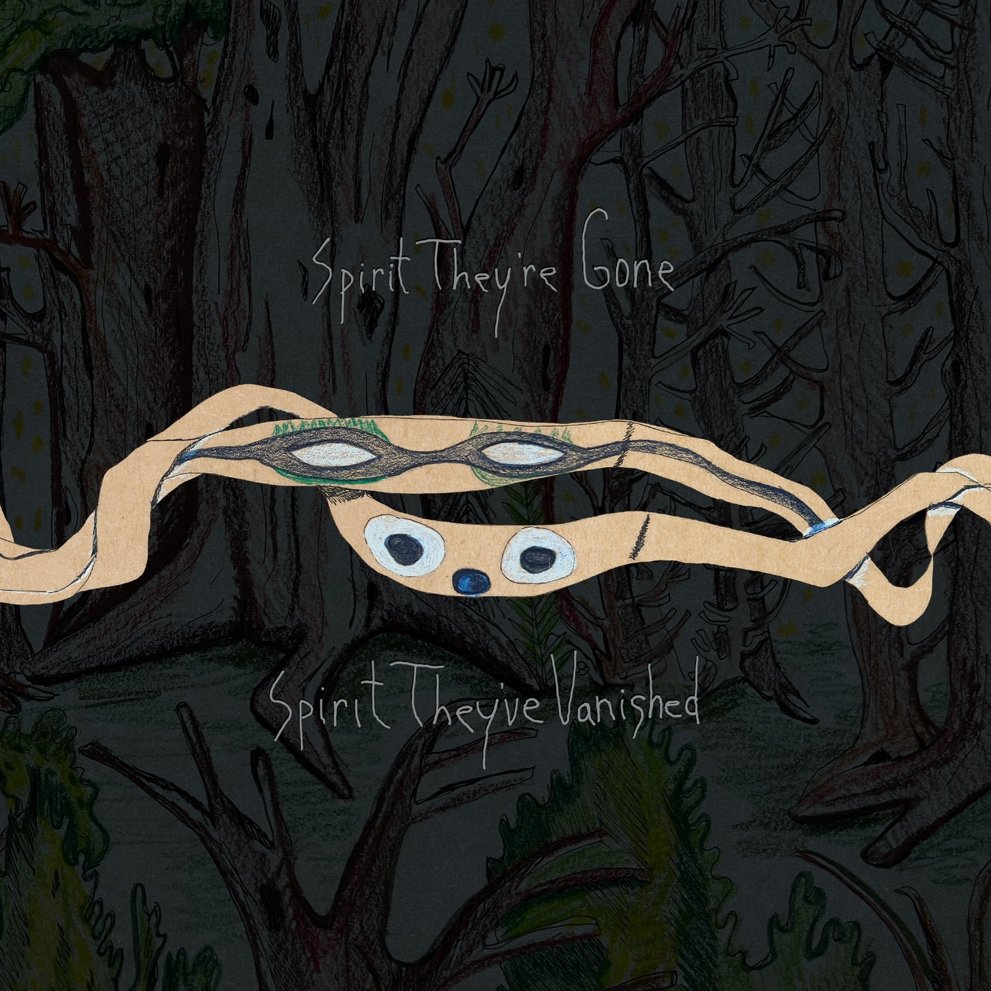 Animal Collective - Spirit They're Gone, Spirit They've Vanished (Remastered 2023) [Black Vinyl]