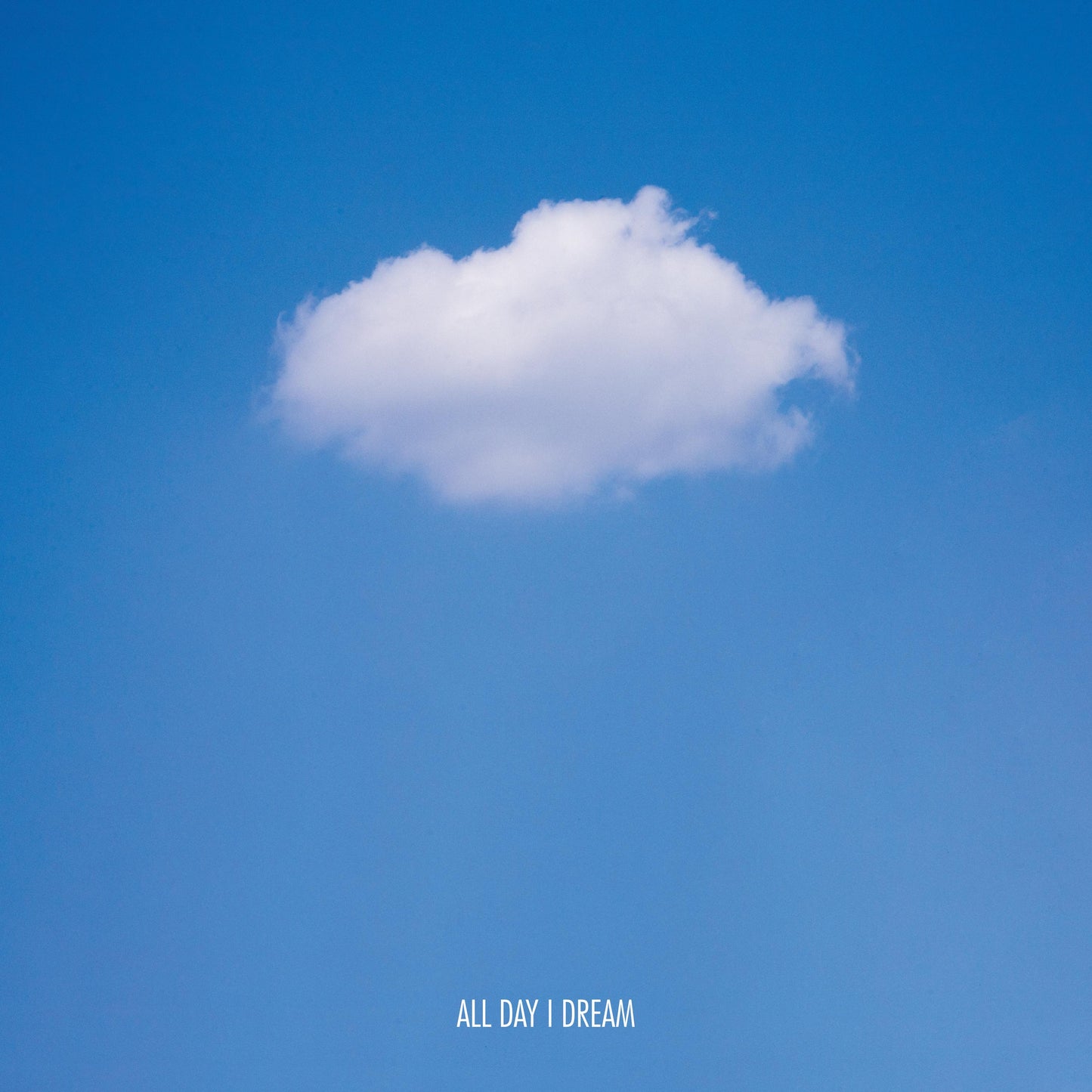 DIM KELLY - Nocturna Animal