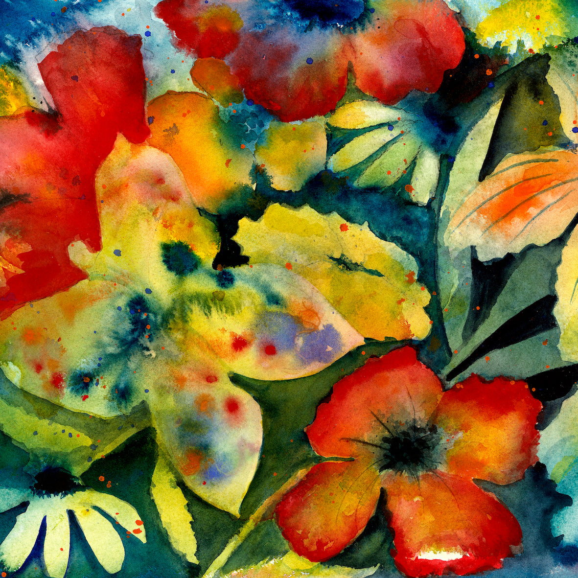 洋楽 ADRIANNE LENKER - SONGSANDINSTRUMENTALS ADRIANNE LENKER - songs and instrumentals [CD] – Horizons Music