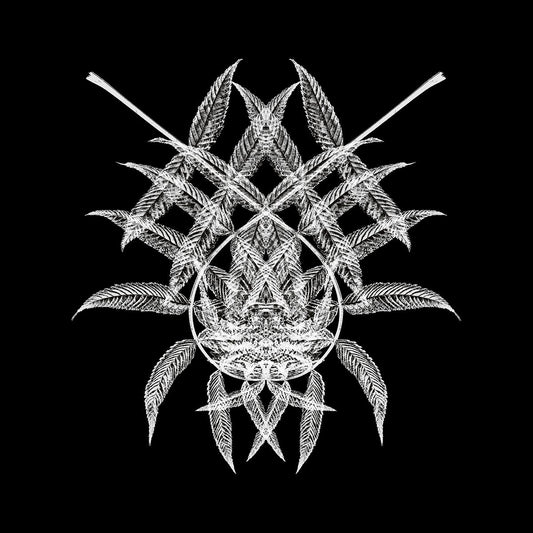 Nicola Dal Sacco - Wirrwarr EP [printed sleeve / 180 grams]