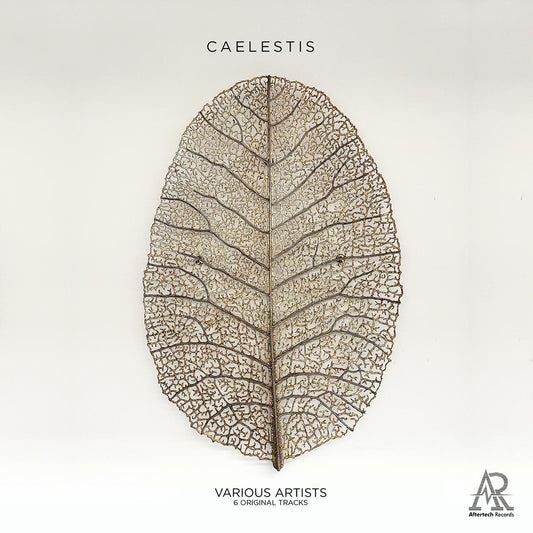 Various Artists - Caelestis [printed sleeve]