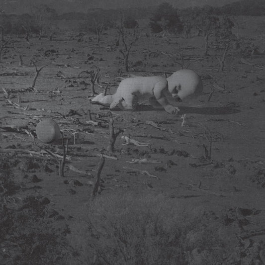 [KRTM] - Narcfest [printed gatefold / incl. dl code + insert]