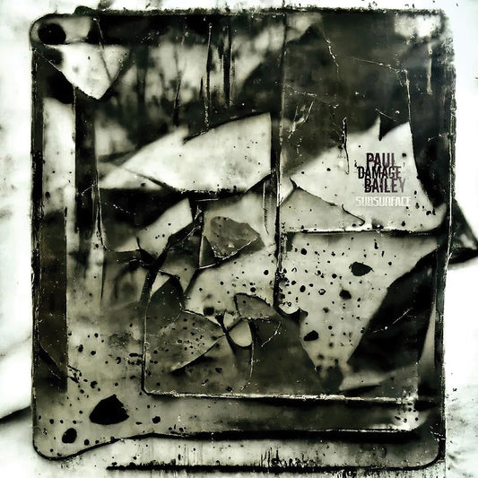 Paul 'Damage' Bailey - Subsurface [printed sleeve / 180 grams]