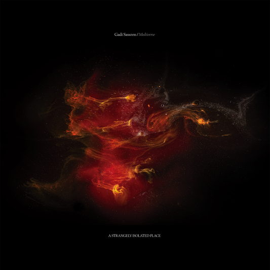 Gadi Sassoon - Multiverse