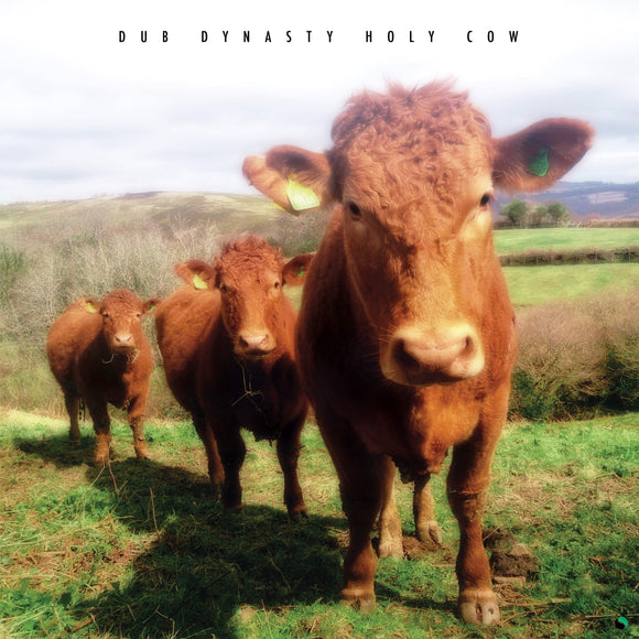 Dub Dynasty (Alpha Steppa & Alpha & Omega) - Holy Cow