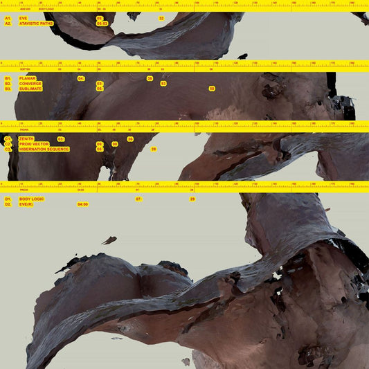 Awe Kid - Body Logic (2LP)