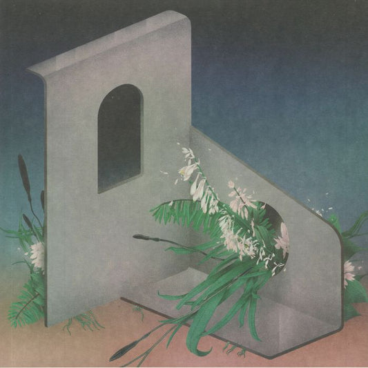 ATOLOI - Inflorescenze