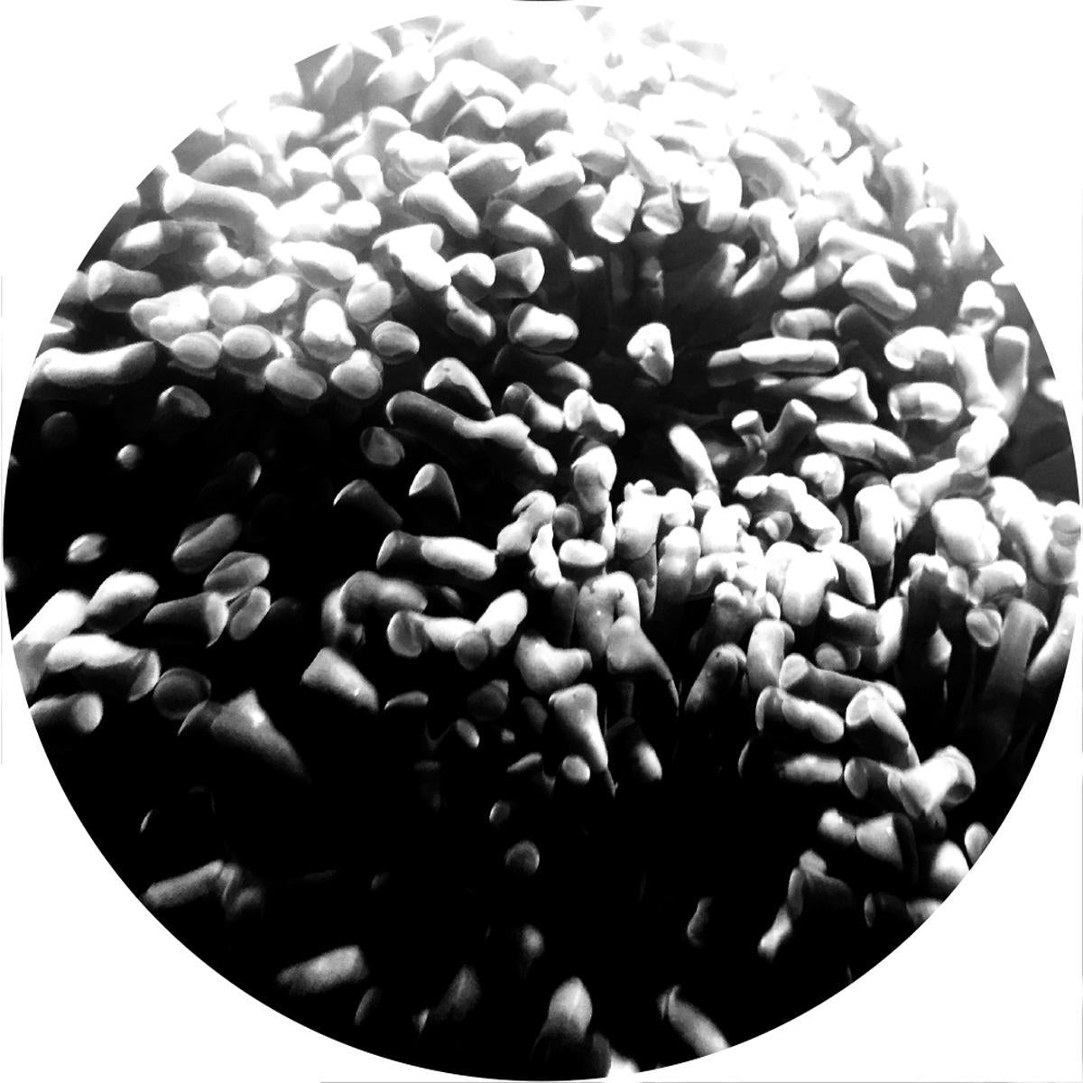 Various Artists - SALESPACK incl. 012 / 013 / LAQ 04