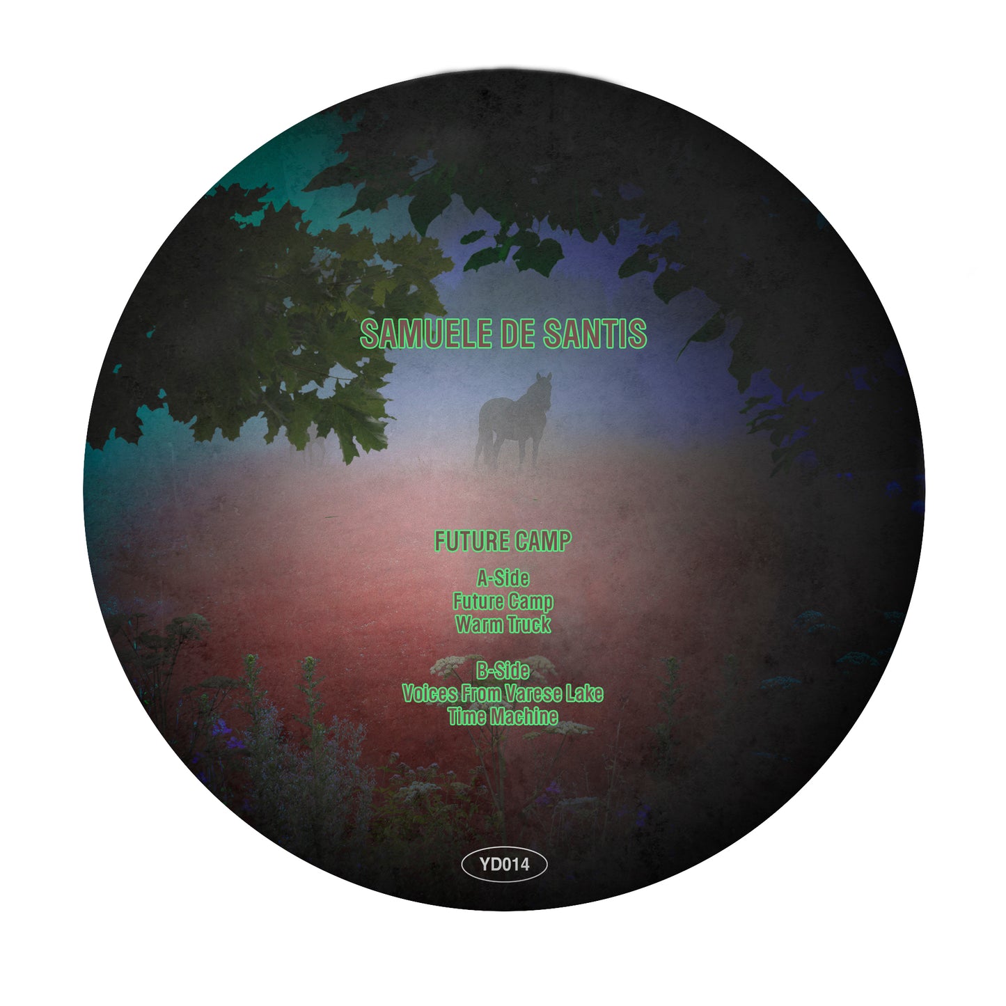 Samuele De Santis - Future Camp