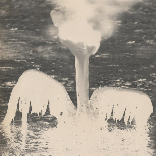 AnD- SSSPCR 004 [full colour sleeve / incl dl code]