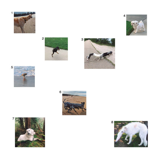 An Era Of Spiritual Tenebrae - Our Souls Are In The Handsof The Translator