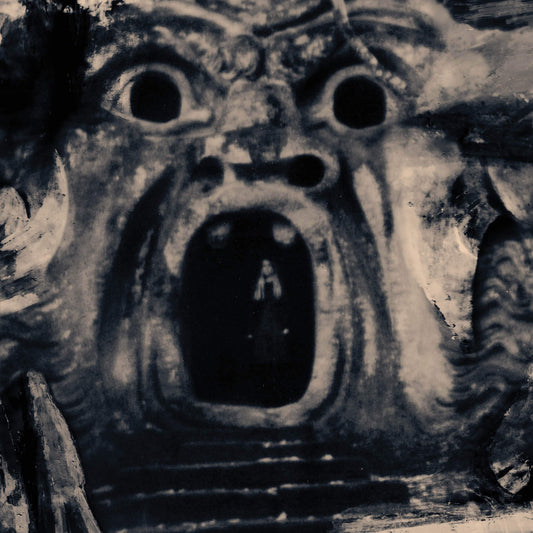 Anna von Hausswolff - All Thoughts Fly (B STOCK)