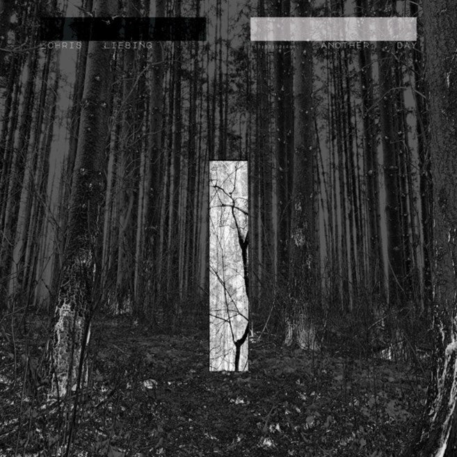 Chris Liebing - Another Day [Clear Vinyl 2LP]