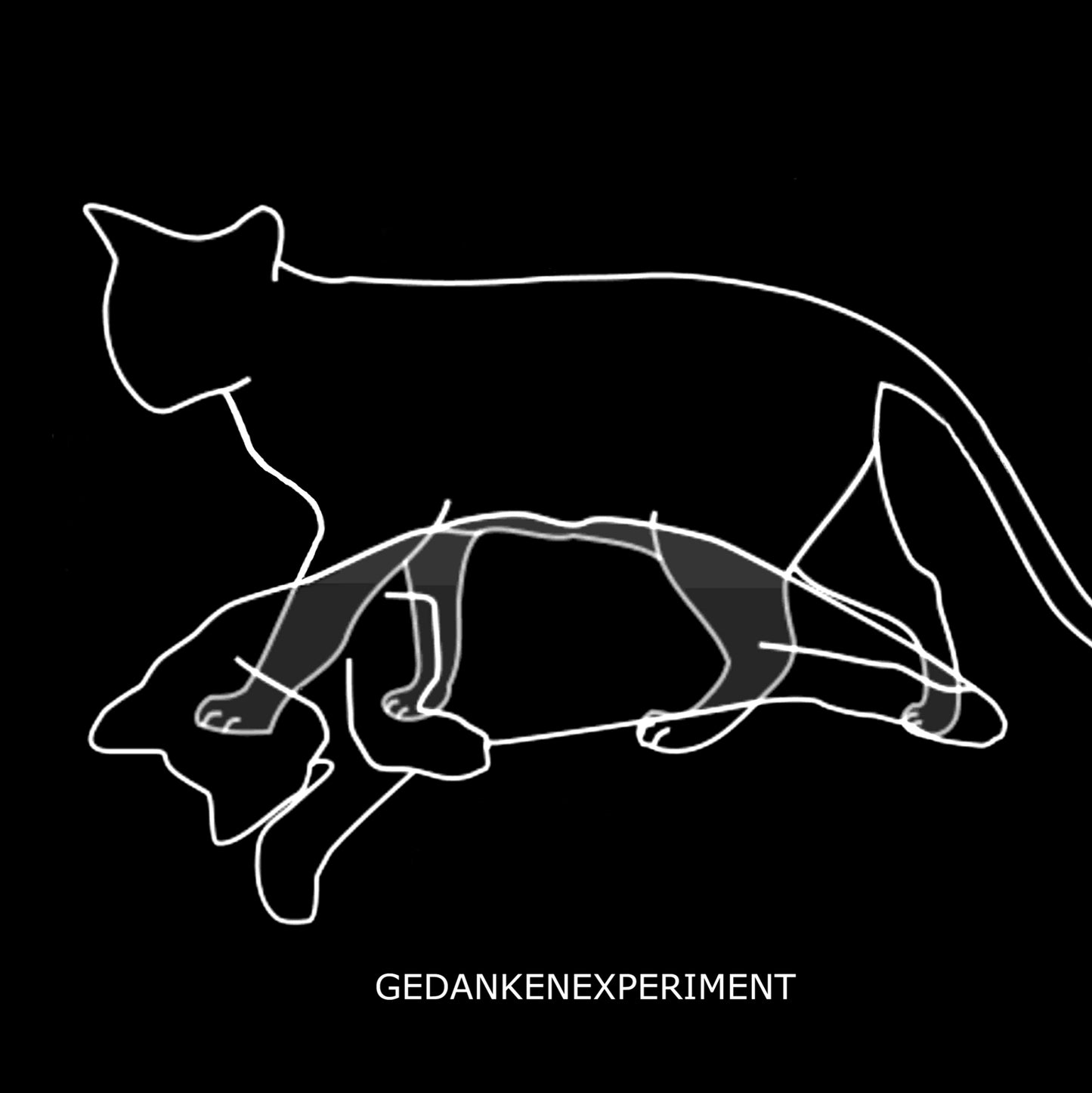Gedankenexperiment - Experiment Defined