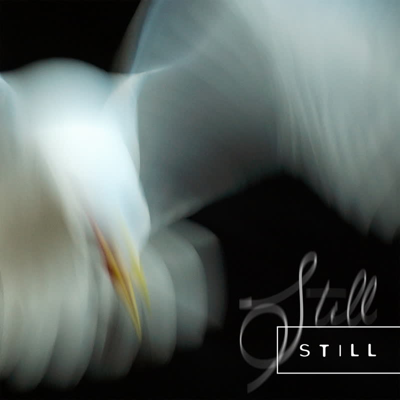 Aria Rostami & Daniel Blomquist - Still