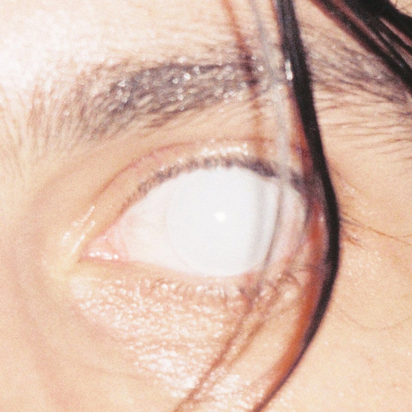 Armlock - Trust [CD]