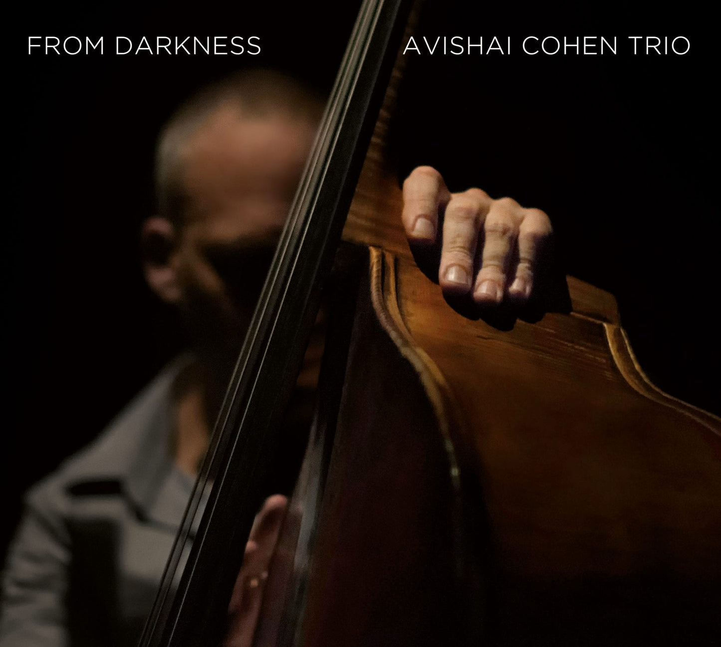 Avishai Cohen - From Darkness [LP]