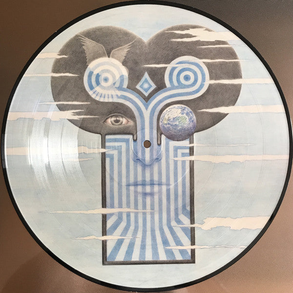 Chameleons - What Does Anything Mean (1LP/Picture Disc)