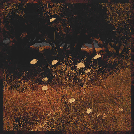 Szun Waves - Earth Patterns [CD]