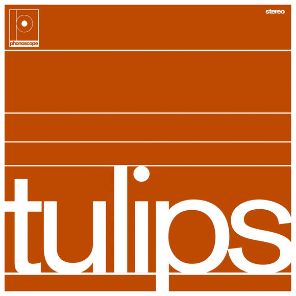 Maston - Tulips
