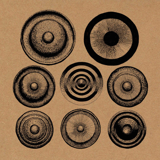 ENSEMBLE NIST-NAH - ELDERS [LP]