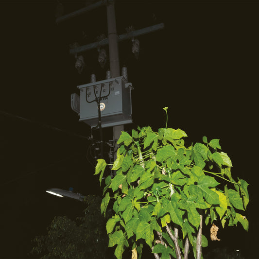 Giuseppe lelasi - Down On Darkened Meetings