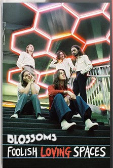 BLOSSOMS FOOLISH LOVING SPACES LTD (E) [Cassette]