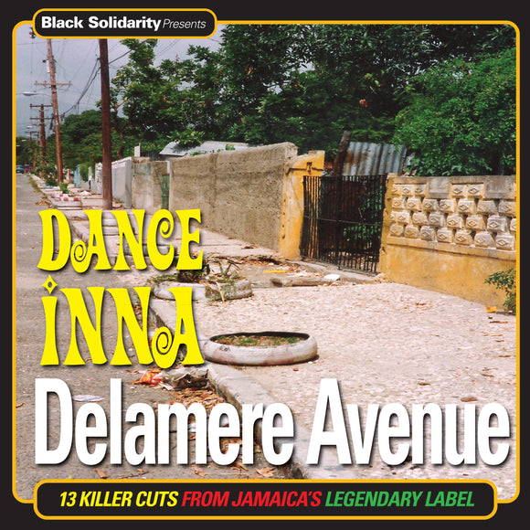 Various Artists - Black Solidarity Presents Dance Inna Delamere Avenue [CD]