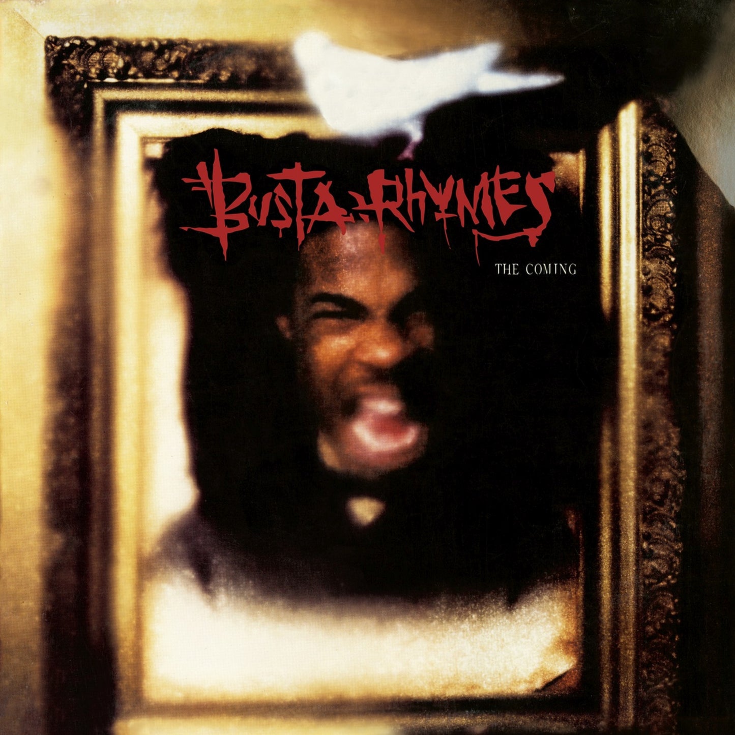Busta Rhymes The Coming