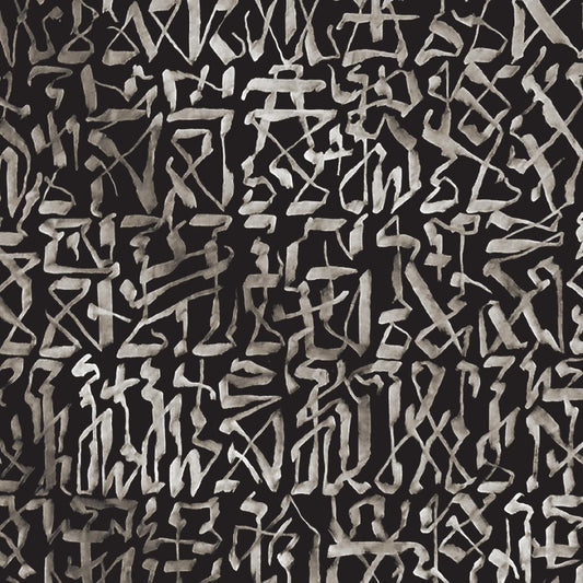 Bas Mooy - Killed Soil Sinking EP [full colour sleeve]