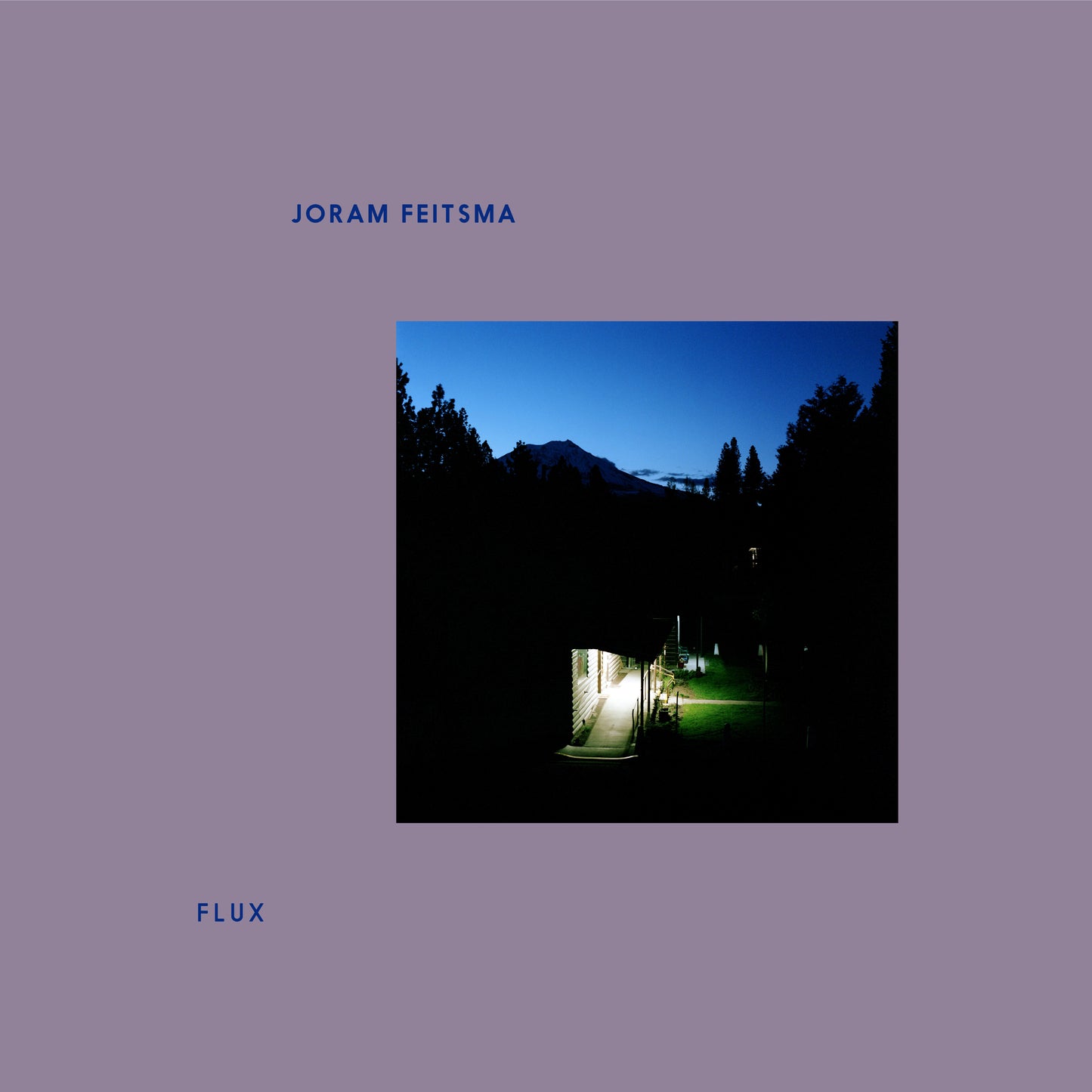 Joram Feitsma - Flux