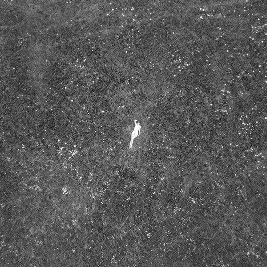 Birds Of Passage - The Last Garden [CD]