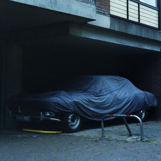 Black Bones Night Drives