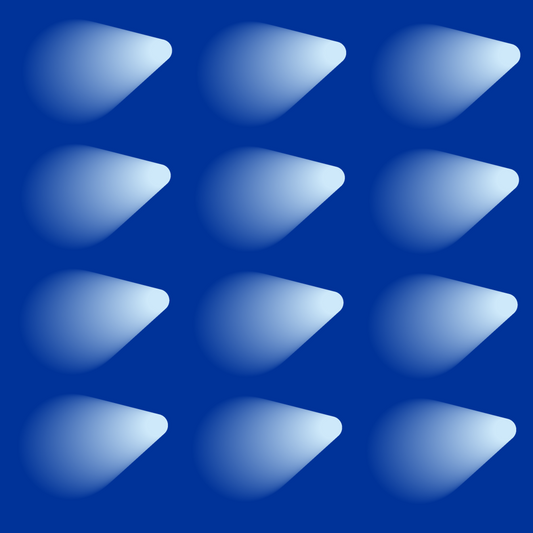 Blank Gloss - January