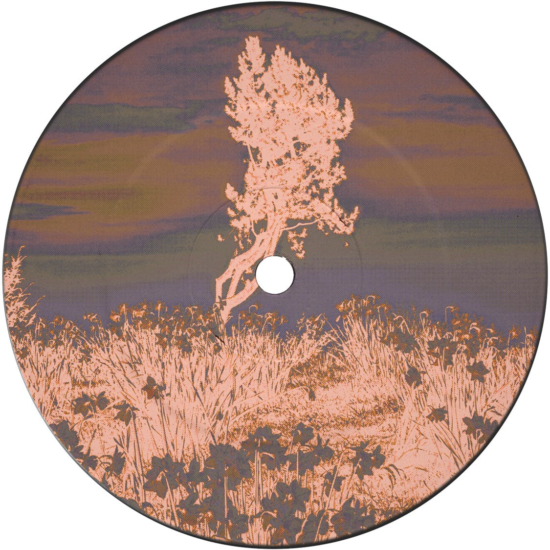 Boulderhead - Alien Groove Extractor