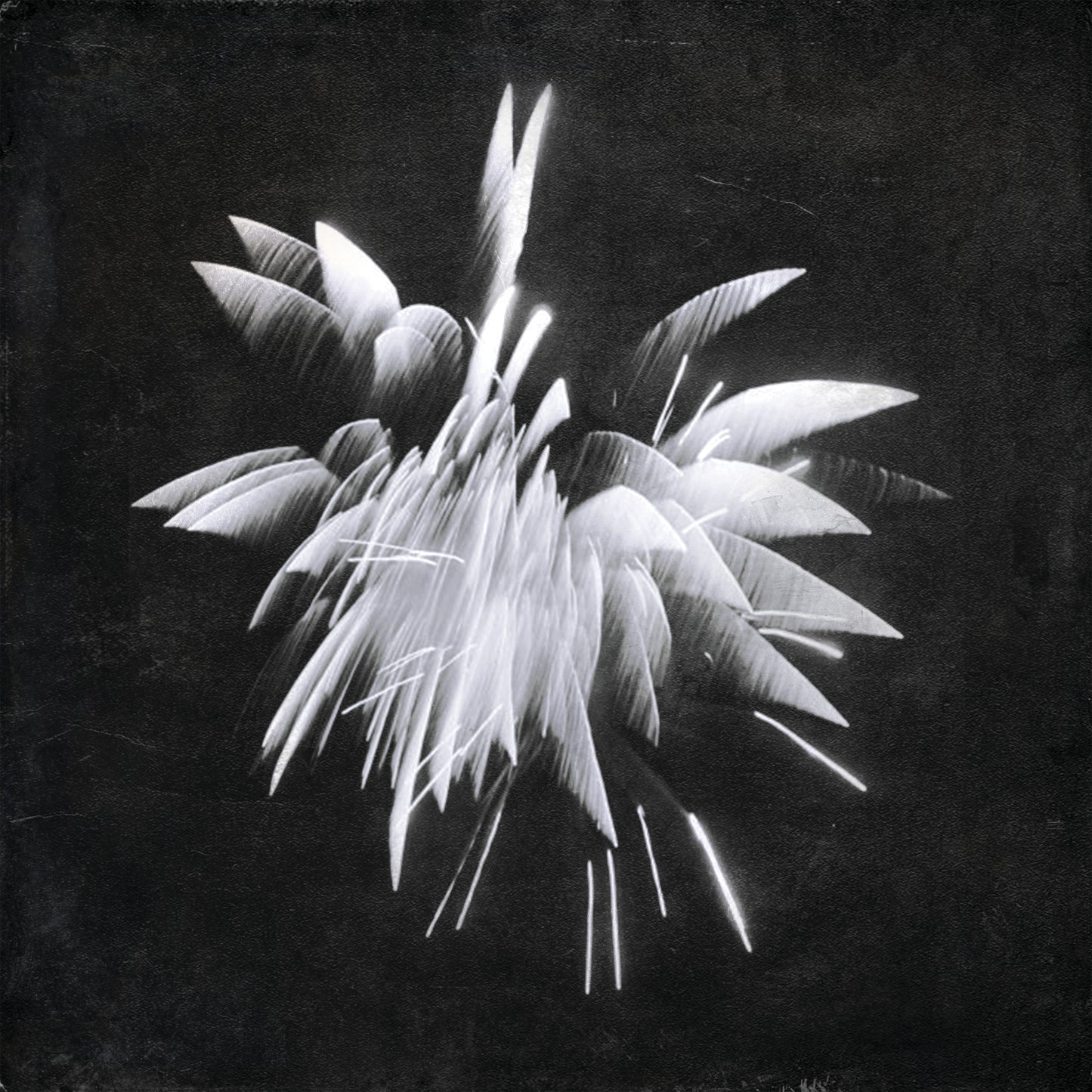 Brent Windler - New Morning Howl