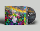 Built To Spill - When The Wind Forgets Your Name [CD]