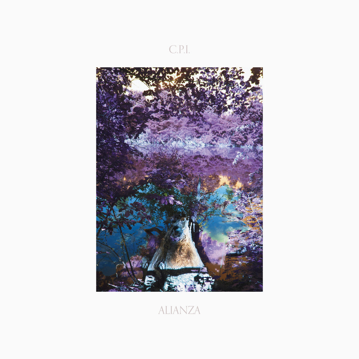 C.P.I. - Alianza