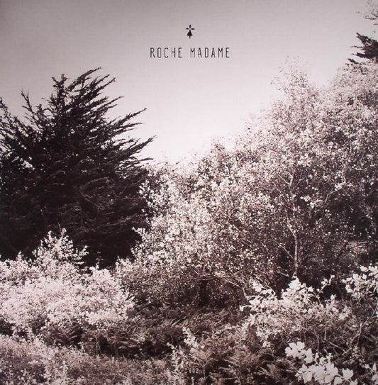 C.S.R - Roche Madame 002