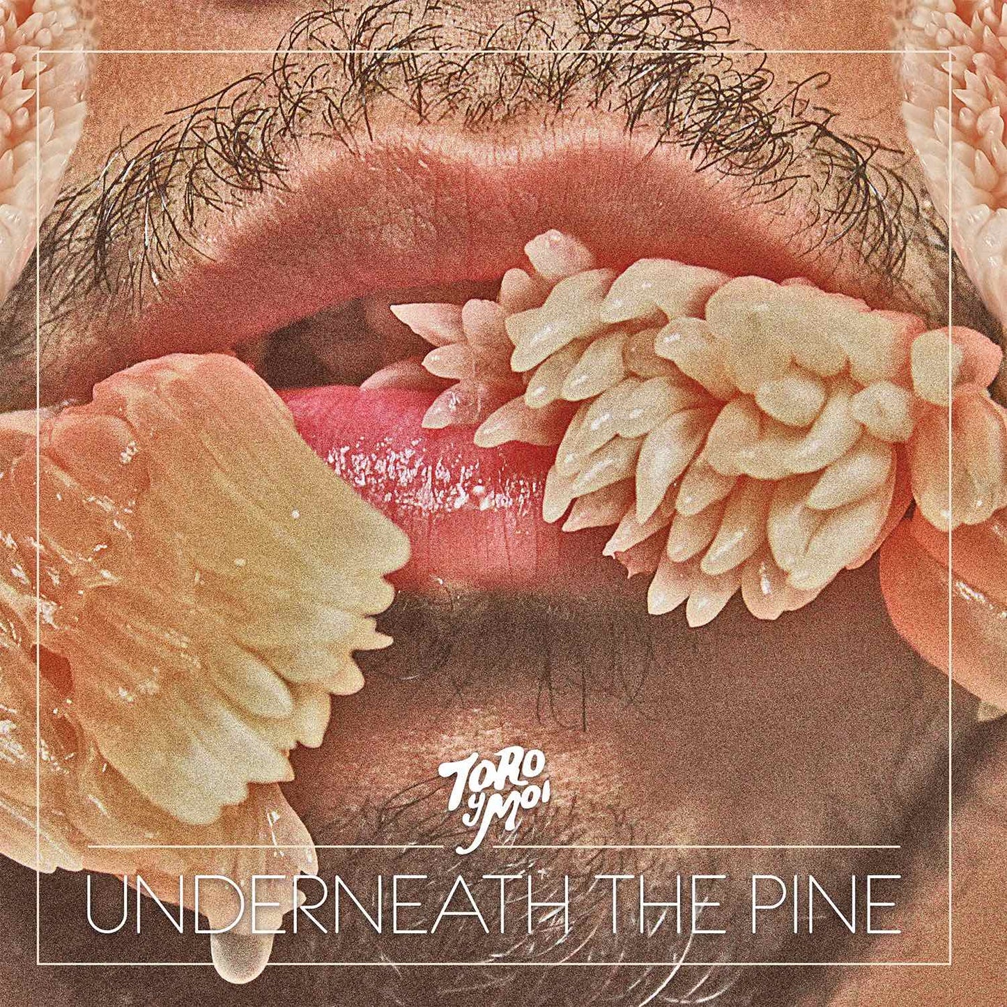 Toro Y Moi - Underneath The Pine (10th Anniversary)