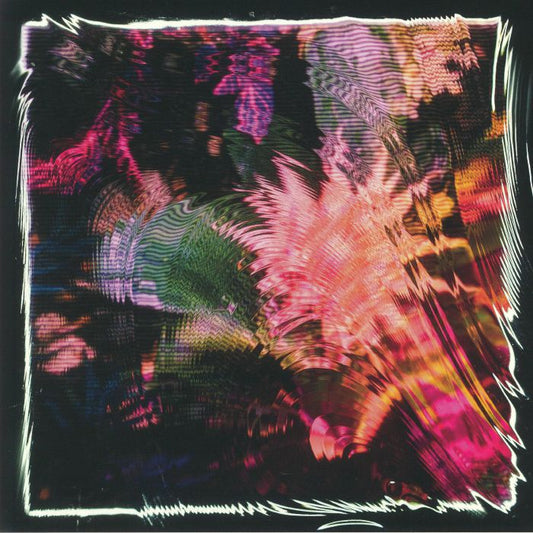 CAMILA FUCHS - Kids Talk Sun