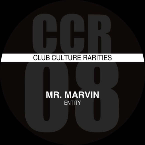 MR. MARVIN - ENTITY [Grey Vinyl]