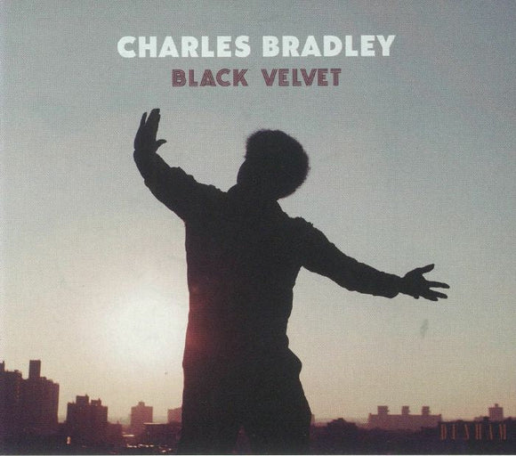 CHARLES BRADLEY - BLACK VELVET [LP]