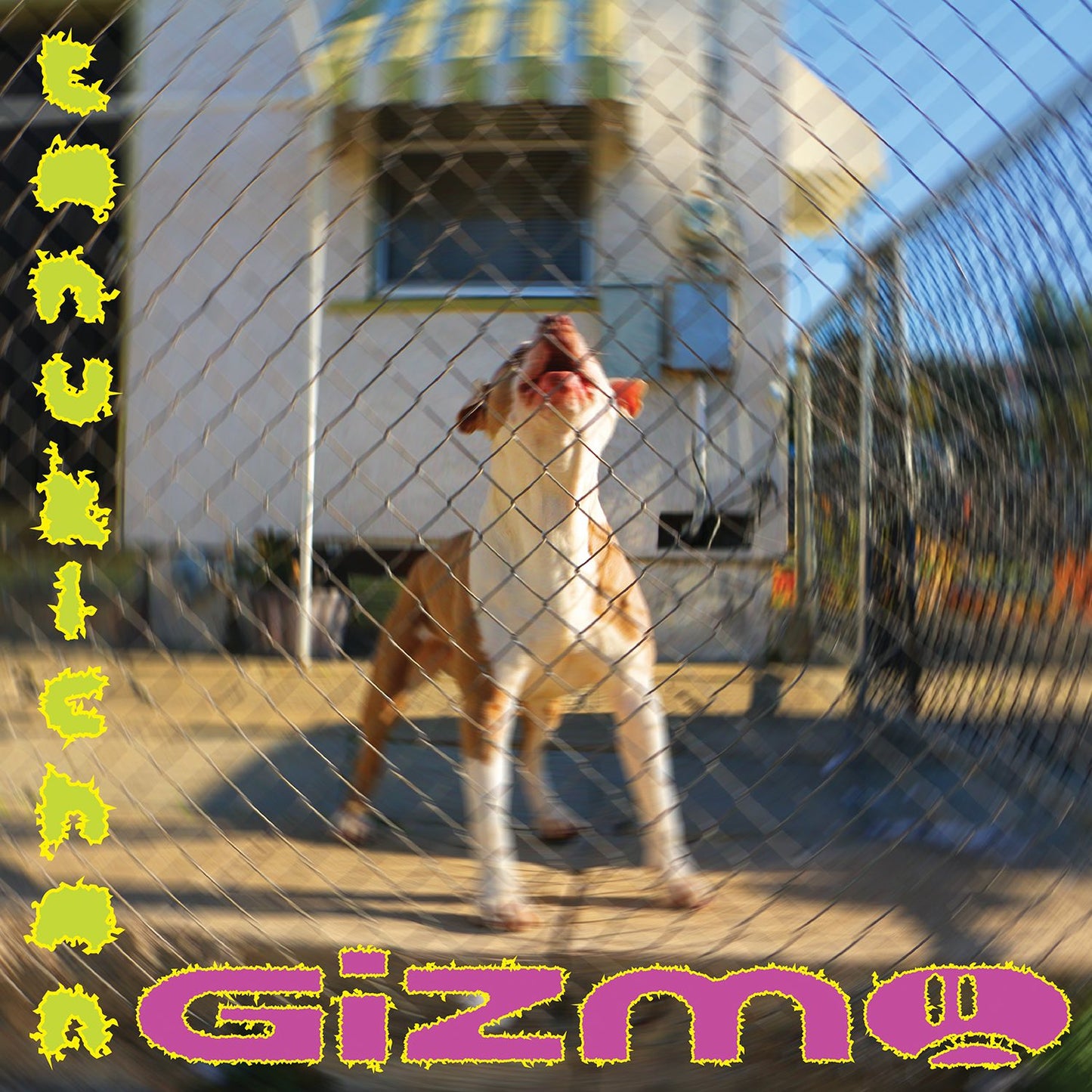Tanukichan - GIZMO [LP]