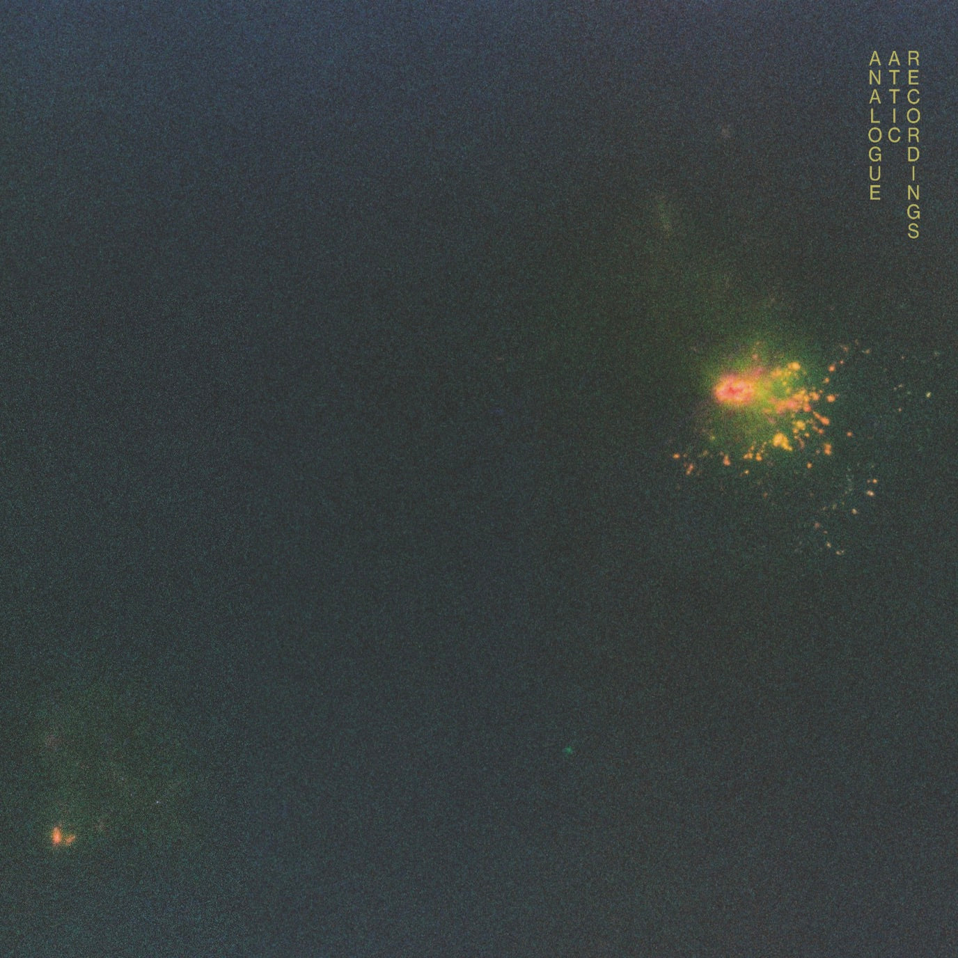 CITIZEN MAZE - NORTHERN ANGELIQUE