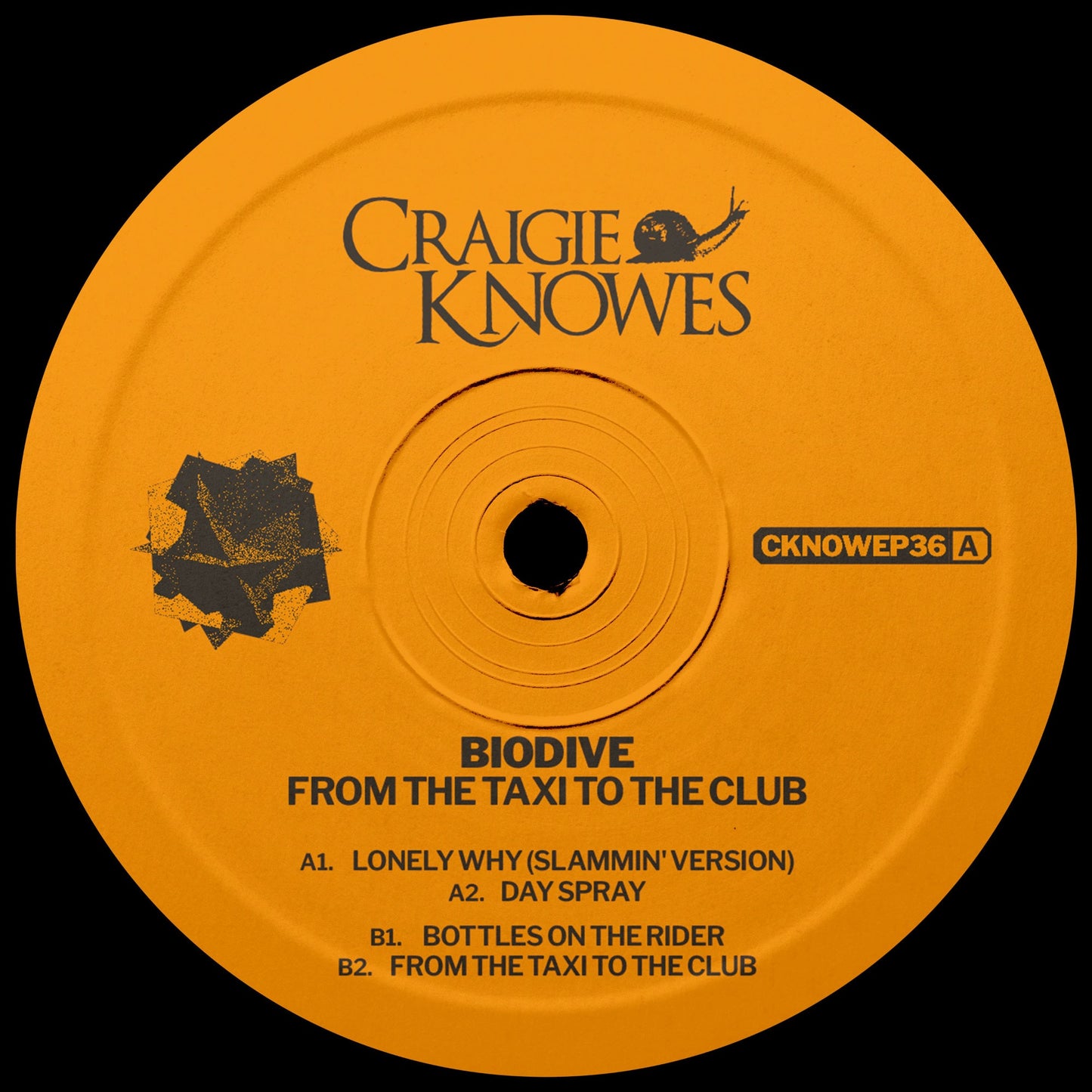 Biodive - From The Taxi To The Club