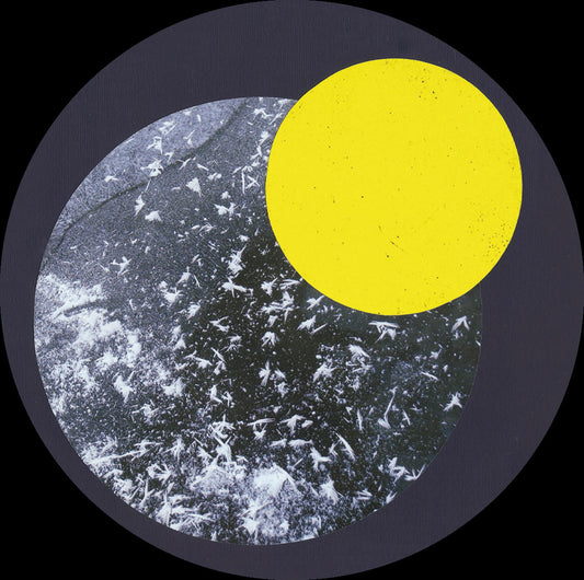 Zooey Moore - Farms Are A Great Place To See Animals